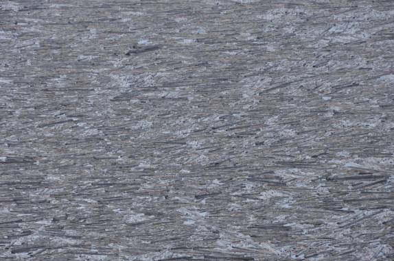 As árvores mortas na erupção de 1980 formam um tapete macabro no Spirit lake, aos pés da montanha, no estado de Washington, oeste dos Estados Unidos